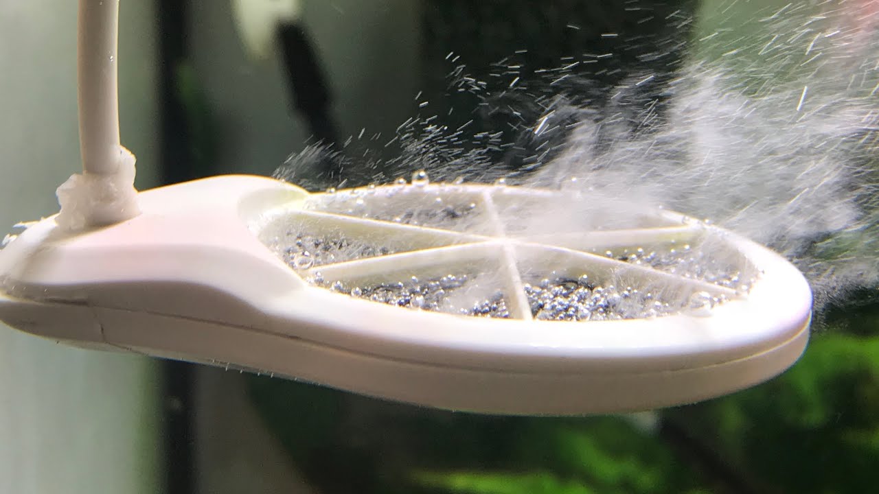 Limpieza difusor de doctor chihiros