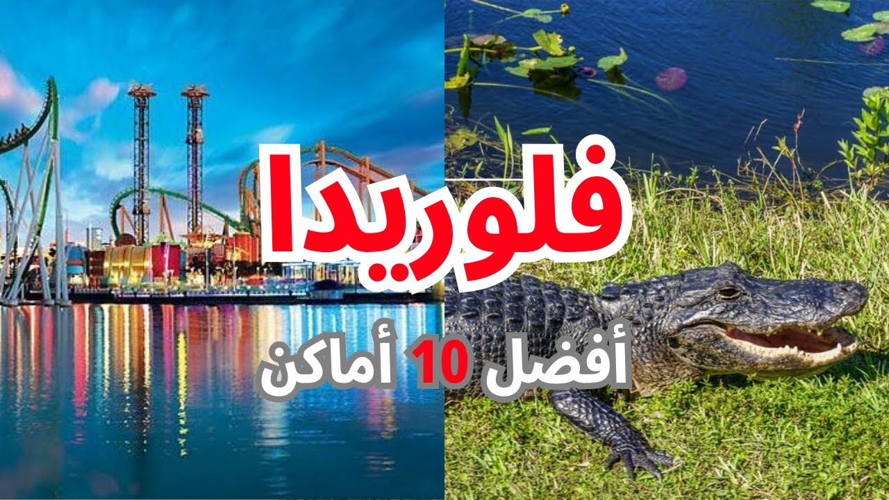 أفضل 10 أماكن سياحية في ولاية فلوريدا الأمريكية