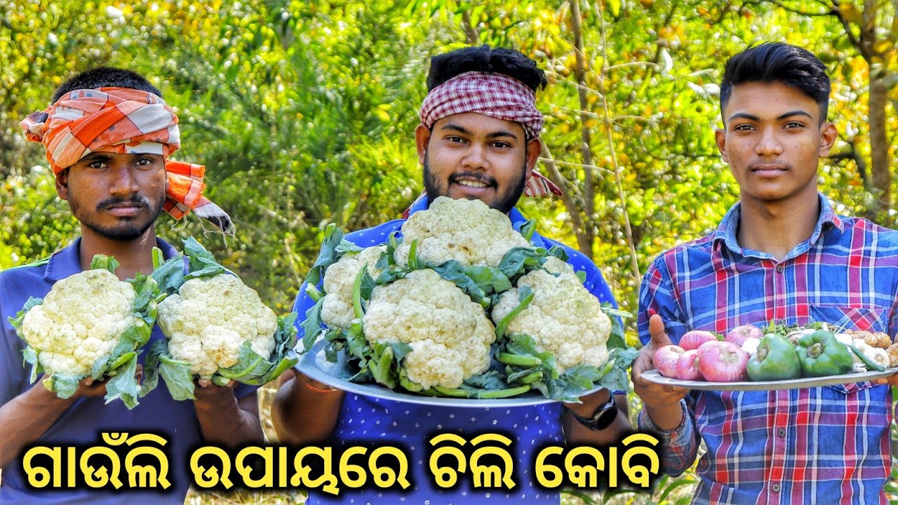 CHILLI GOBI RECIPE | Village Style Chilli Kobi | Cauliflower Chilli | Cooking in Jungle | Odia