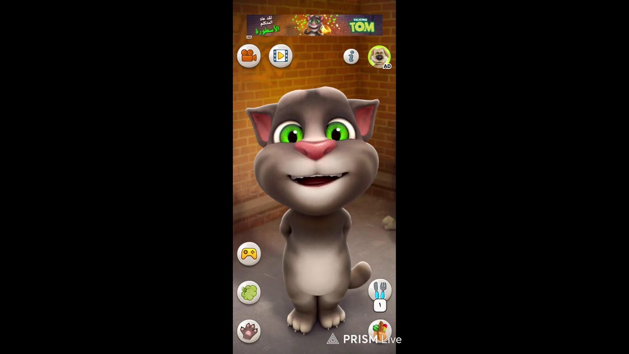 My Talking tom live gameplay #tom #gaming #livegames#talkingtom2#live#talkingtom #funny#cat#tom
