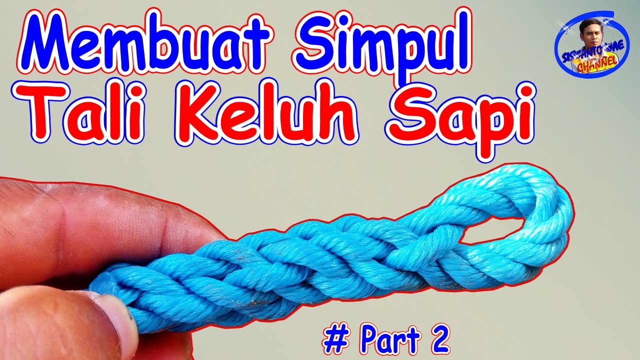 cara membuat simpul tali sapi || Part 2
