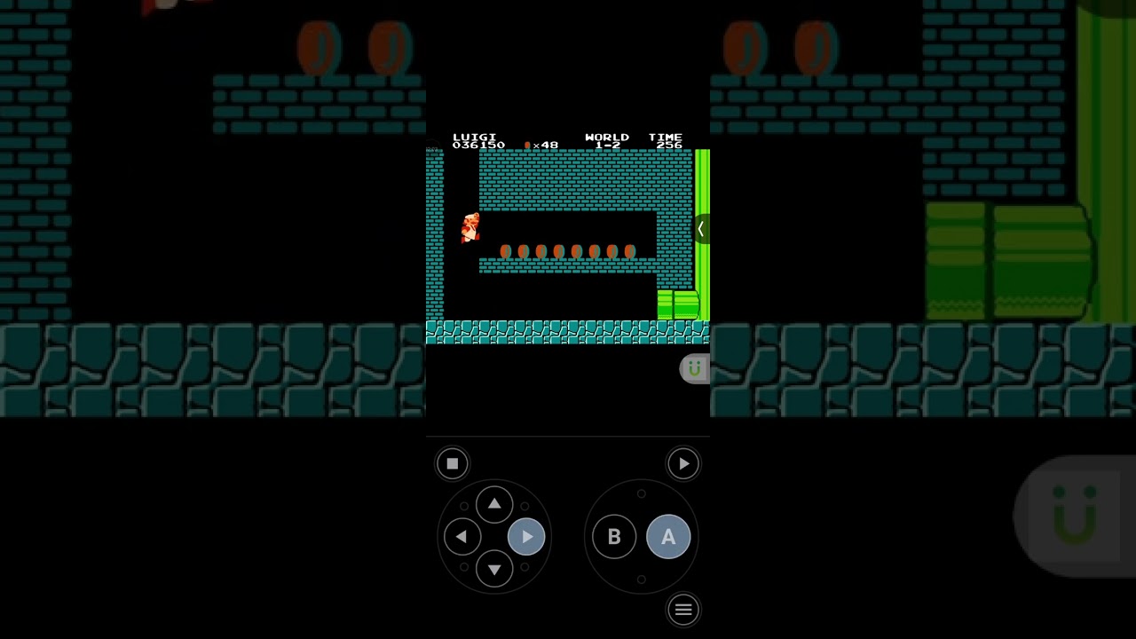 Fan made ファミコン　Super Luigi Bros.