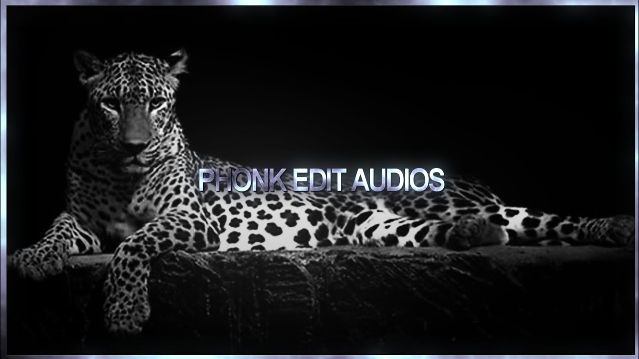 —★ TREND PHONK EDIT AUDIOS AT BIG 25