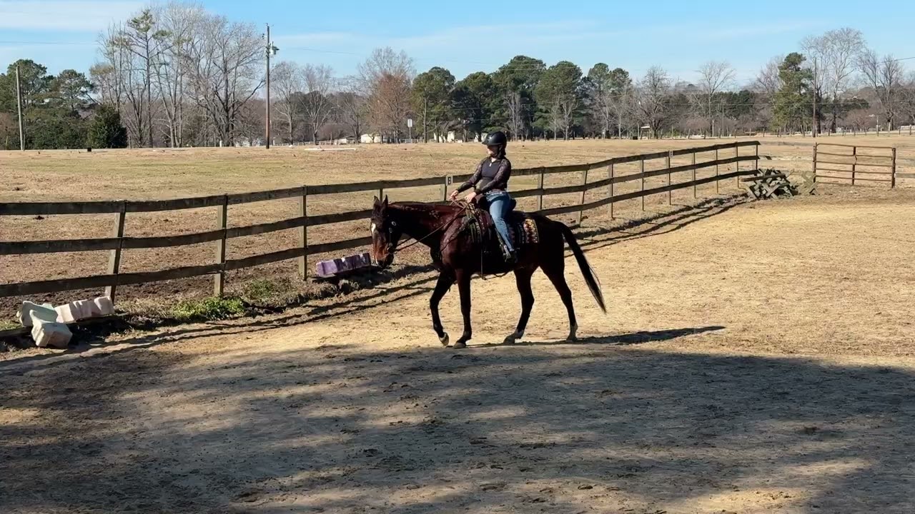 Aurora DeLuca/Silverhill Kostyor Janssen Dressage Feb 26 WD Basic 2