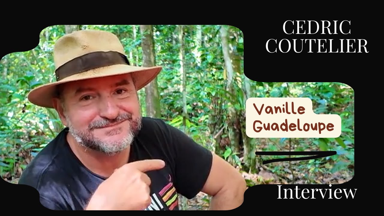 Produire la Meilleure Vanille du Monde en Forêt (Guadeloupe)