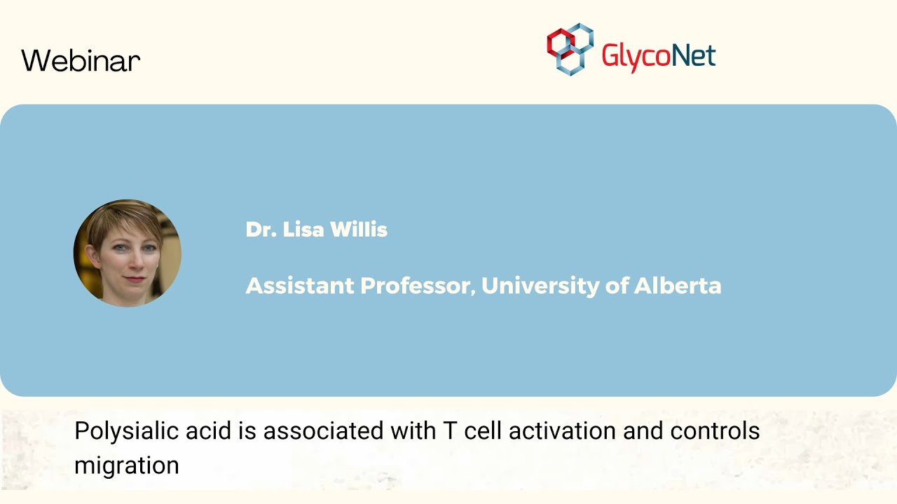 Webinar: Polysialic acid is associated with T cell activation and controls migration