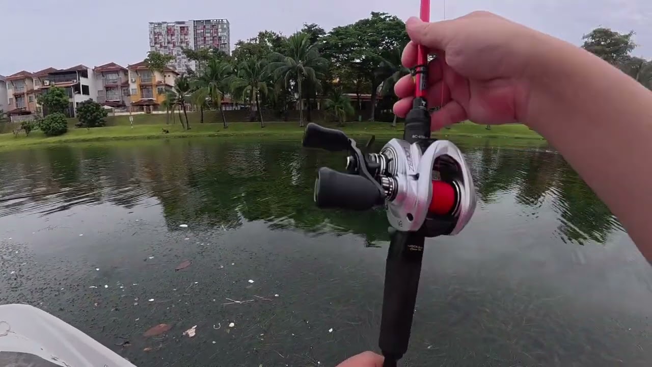 Abu Garcia Zenon Baitcaster Comparison