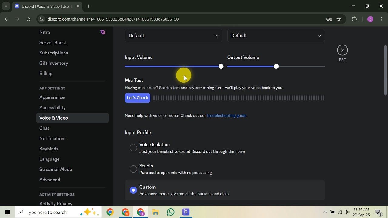 Как использовать голосовой чат Discord