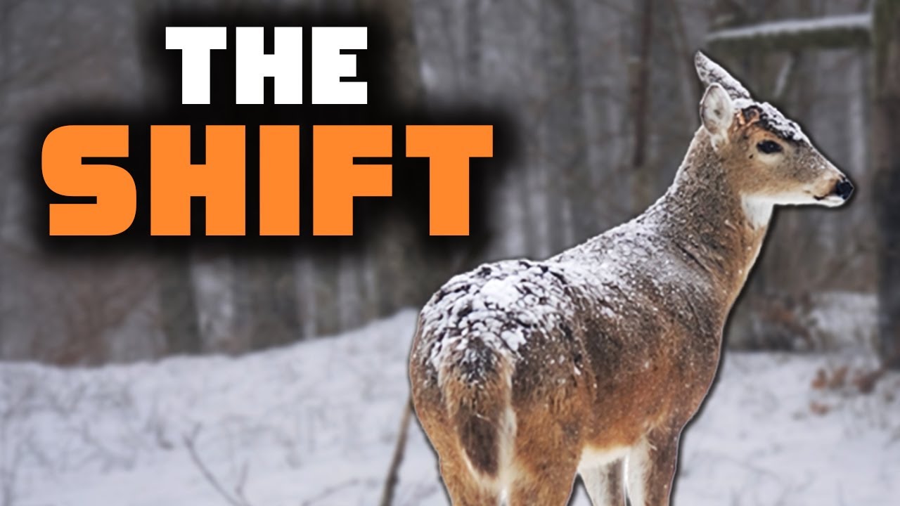 When the Season Ends, Everything Changes | Farm Companion