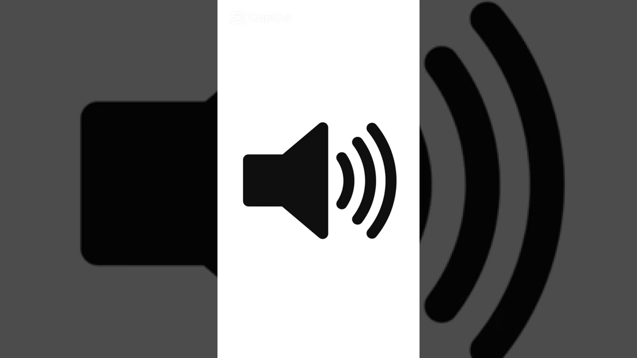 Camera Shutter Sound Effect