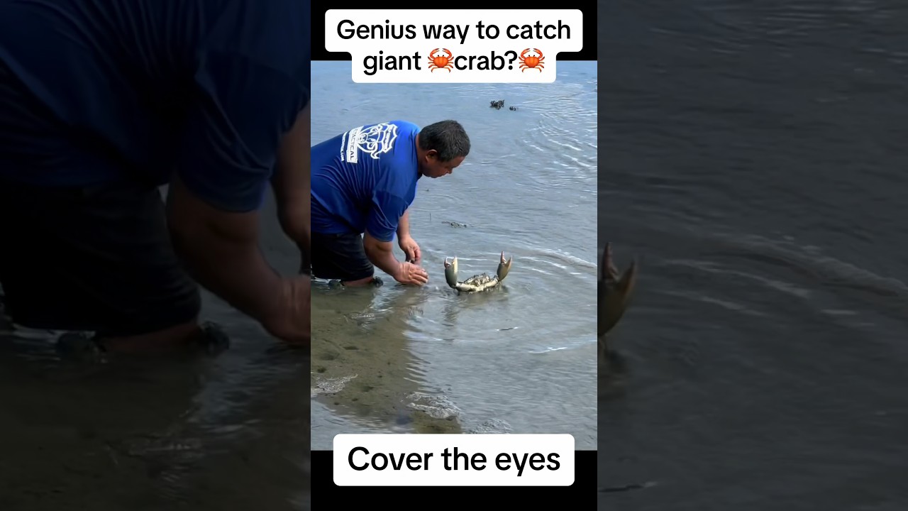 How to catch crab