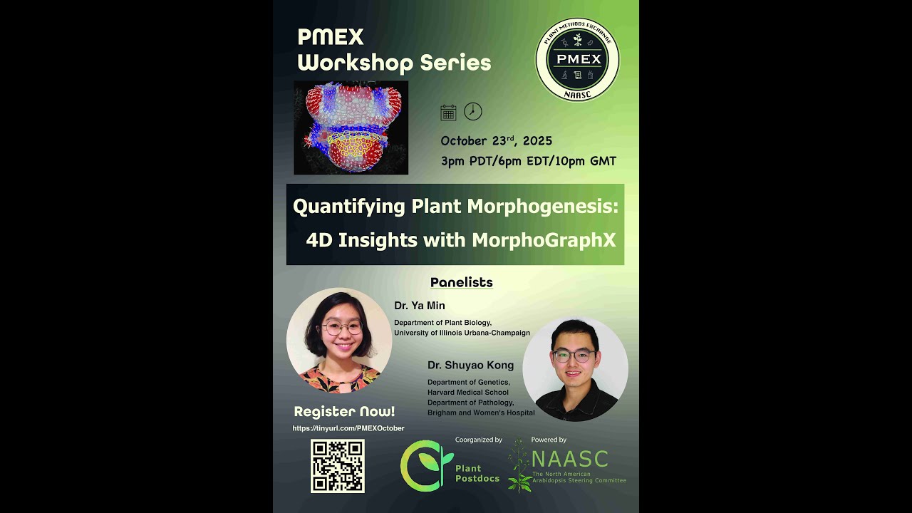 Quantifying Plant Morphogenesis:4D Insights with MorphoGraphX
