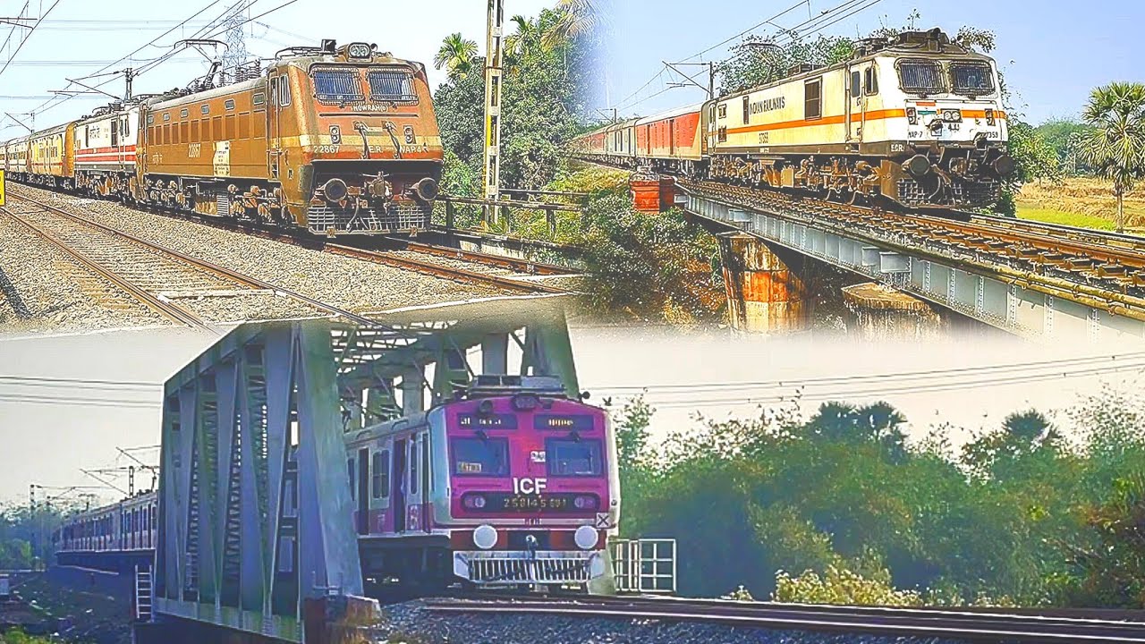 New pink medha +yellow medha & Different types conventionai EMU Local train at behula riverside 