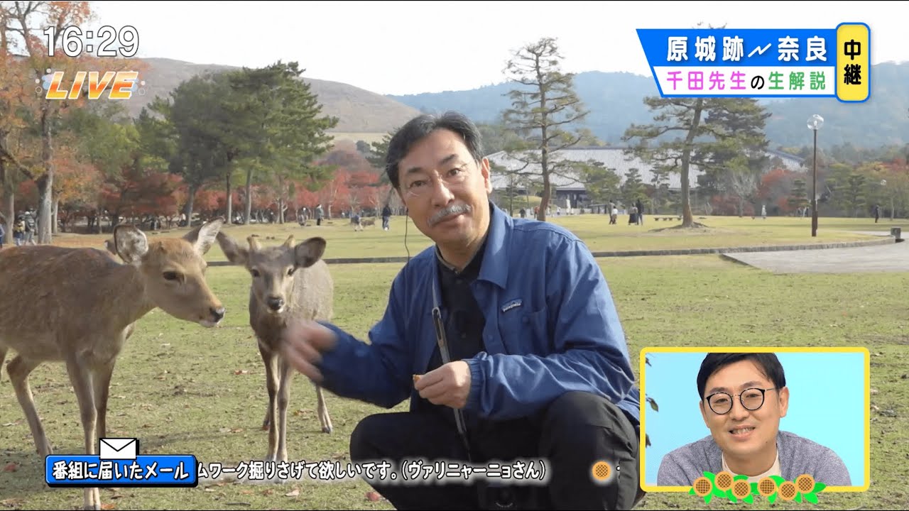 突撃！南島原情報局　原城跡スペシャル【千田先生の生解説】