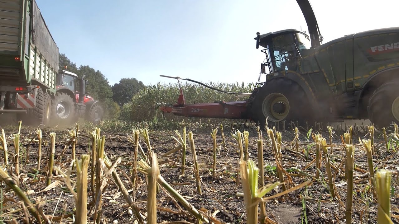 Gut Hülsenberg - Voraussetzung für eine gute Maissilage