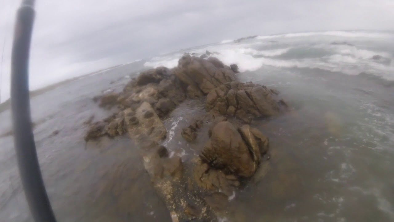 Fish Port Elizabeth.  Pt 3.  Musselcracker ripping drag @ Marine Drive. 🅻🅴🆃🆂 🅳🅾 🆃🅷🅸🆂 