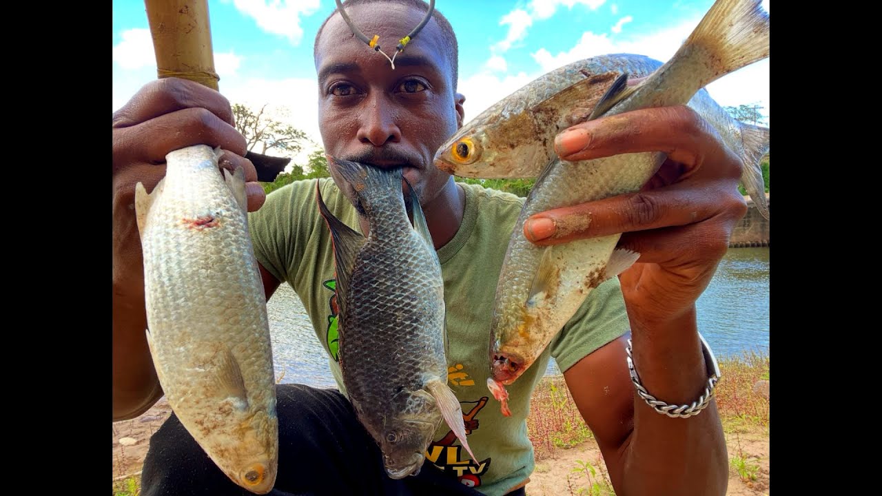Surviving of the land with just a slingshot, shooting fish catch and cook