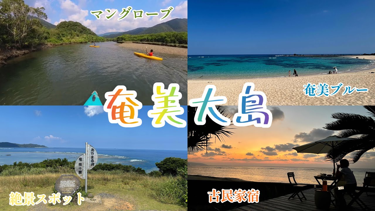 【奄美大島旅行】初めての奄美大島で美しい海やマングローブカヌーを楽しんできた