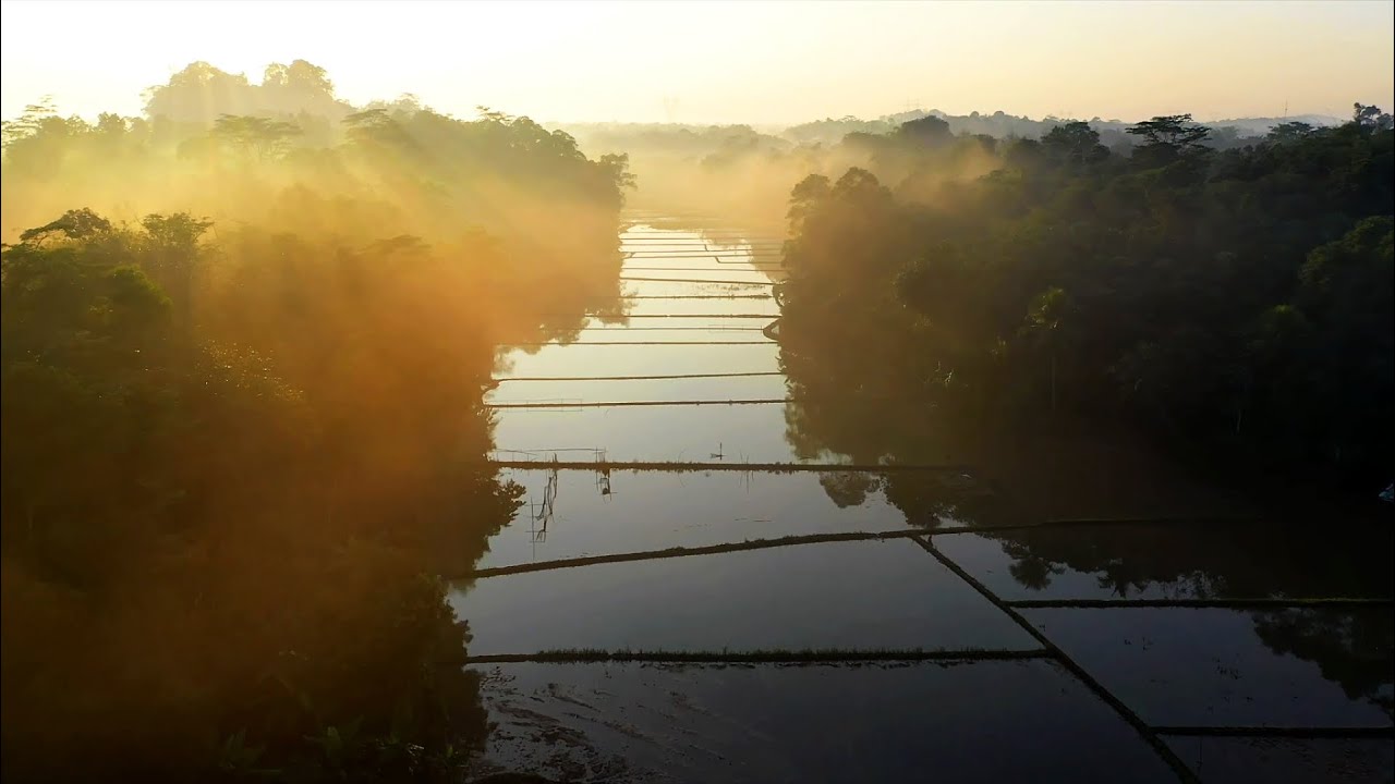 Transformative Futures for Water Security | IWMI