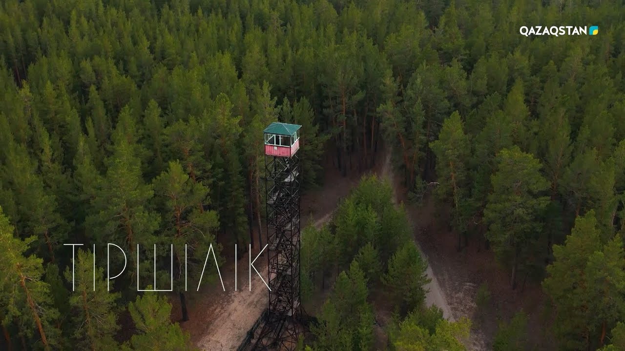 Ертіс орманы | «Тіршілік» бағдарламасы