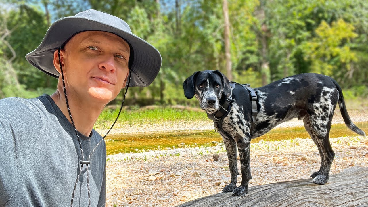 Hiking Off-Trail/Off-Leash With My Dog | Busiek Blue Trail