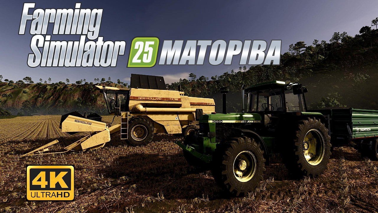 Colheita de feijão Matopiba | #fs25  🚜 #farmingsimulator