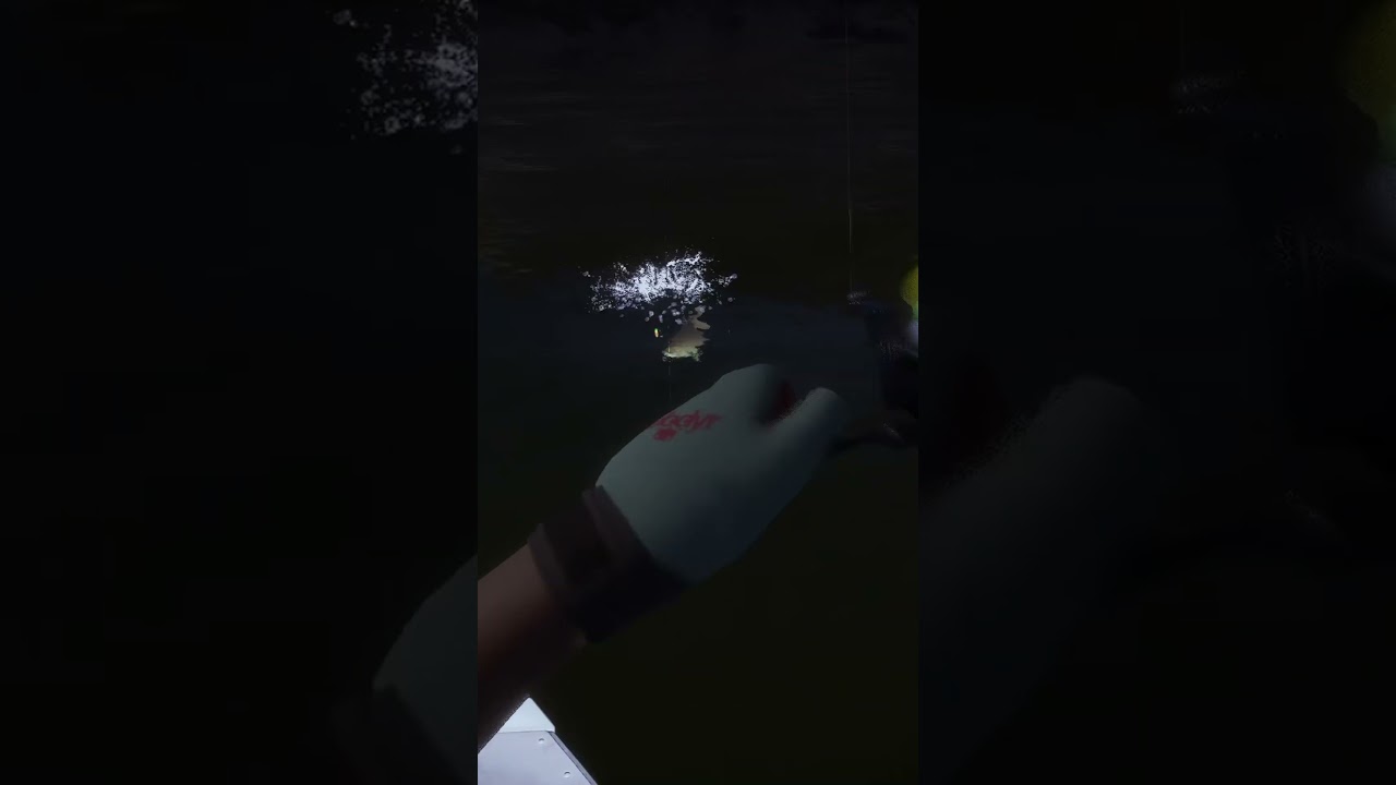 La Mostrenca Guide  Aguas Claras COTW The Angler
