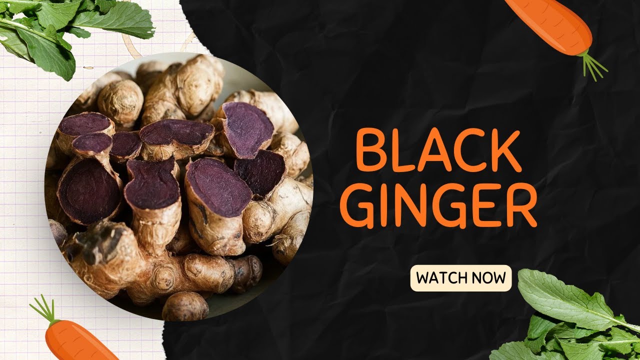 BLACK GINGER NEW CROP IN INDIA MIZORAM NORTH EAST