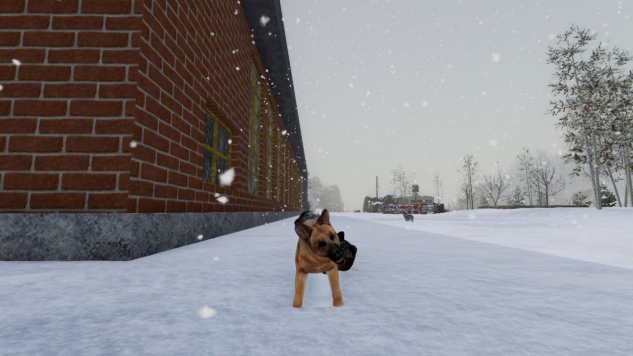 WolfQuest 3 AE |there are dogs  now !| New lost river DLC|