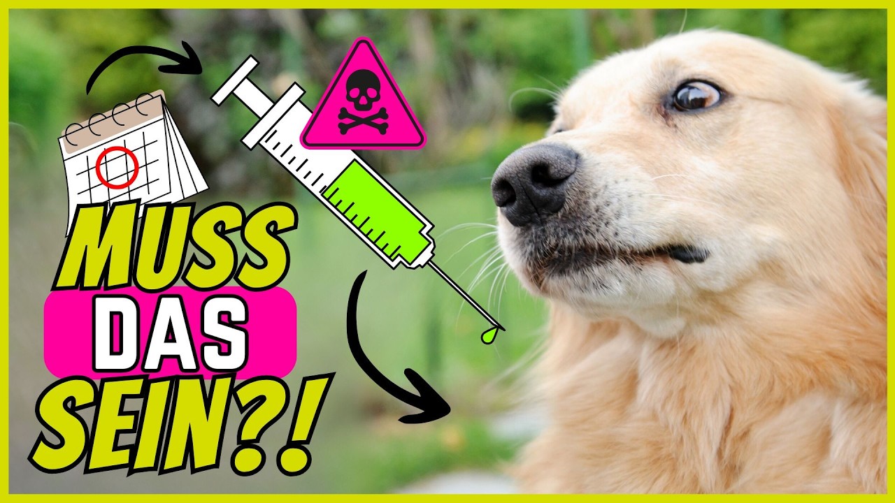 Musst du deinem Hund 1x jährlich Gift spritzen, um ihn zu schützen?