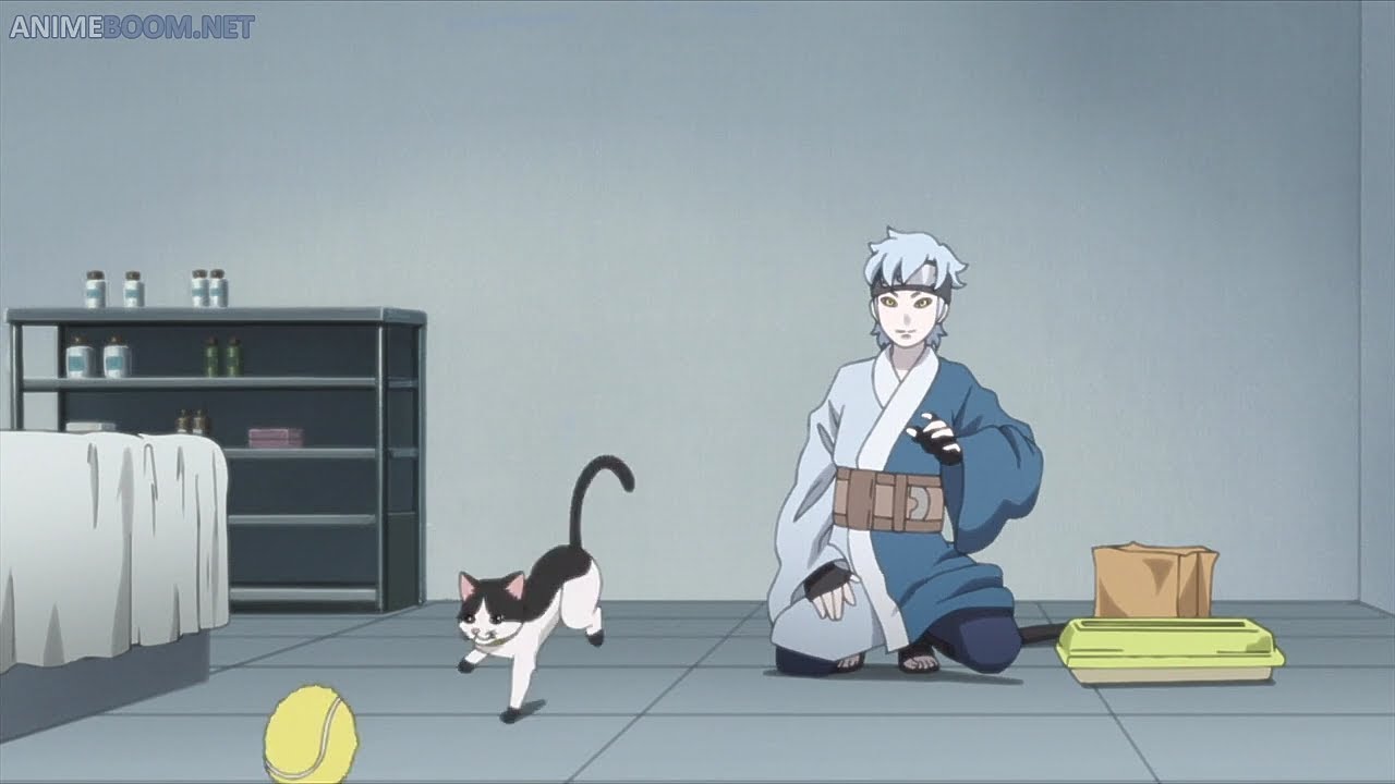 Mitsuki Cuida A Un Gato | Mitsuki Se Hace Amigo De Un Gato