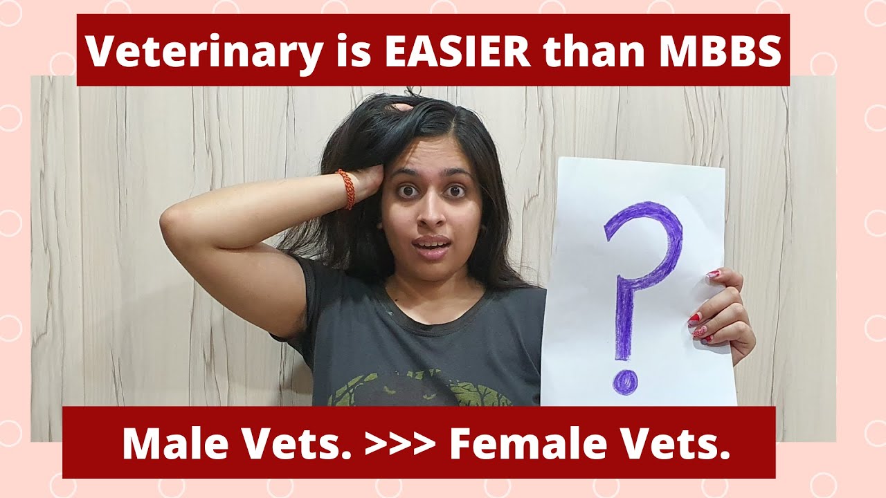 || 5 Things that you thought all WRONG about VETERINARY || Common misconceptions and truth behind.