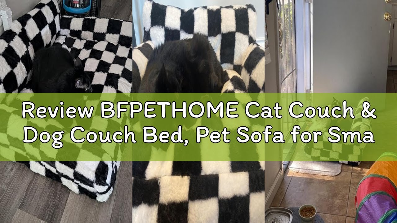 Review BFPETHOME Cat Couch & Dog Couch Bed, Pet Sofa for Small Pet, Cute Cat Sofa, Checkered Dog Bed