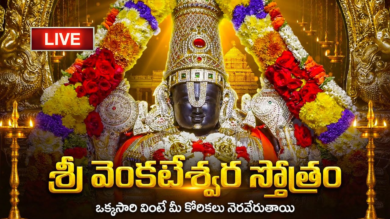 🔴LIVE: శనివారం శ్రీ వెంకటేశ్వర స్తోత్రం వింటే మీ కోరికలన్నీ నెరవేరుతాయి | Sri Venkateswara Stotram