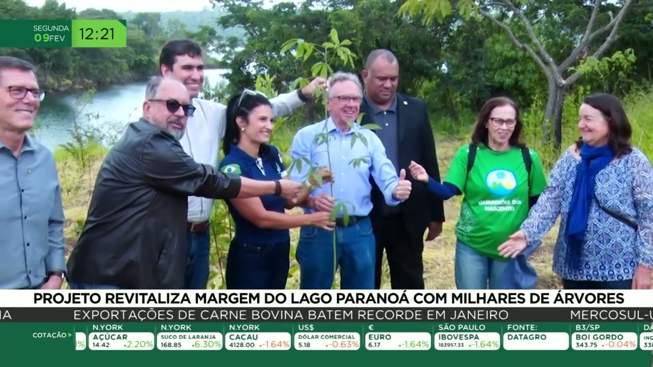 Projeto revitaliza margem do Lago Paranoá com milhares de árvores