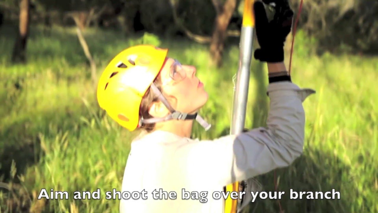 Arborist Throw-line Launcher: Basic Techniques