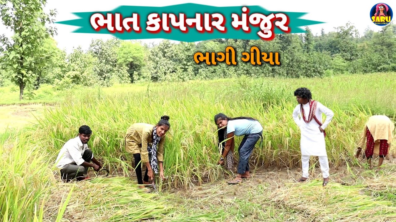 ભાત કાપનાર મંજુર ભાગી ગીયા 🤣 કૉમેડી વિડિઓ / Bhat Kapnar Manjur😂 #sarudangicomedy Dangi Comedy Video