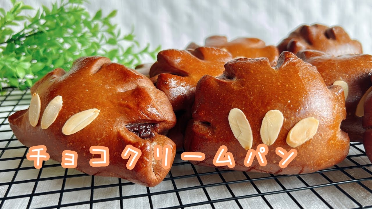 濃厚クリームたっぷり♪ チョコクリームパン
