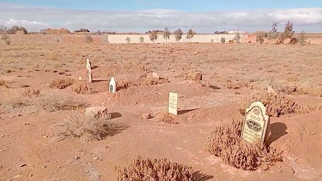 تومي 🇩🇿 زاوي 