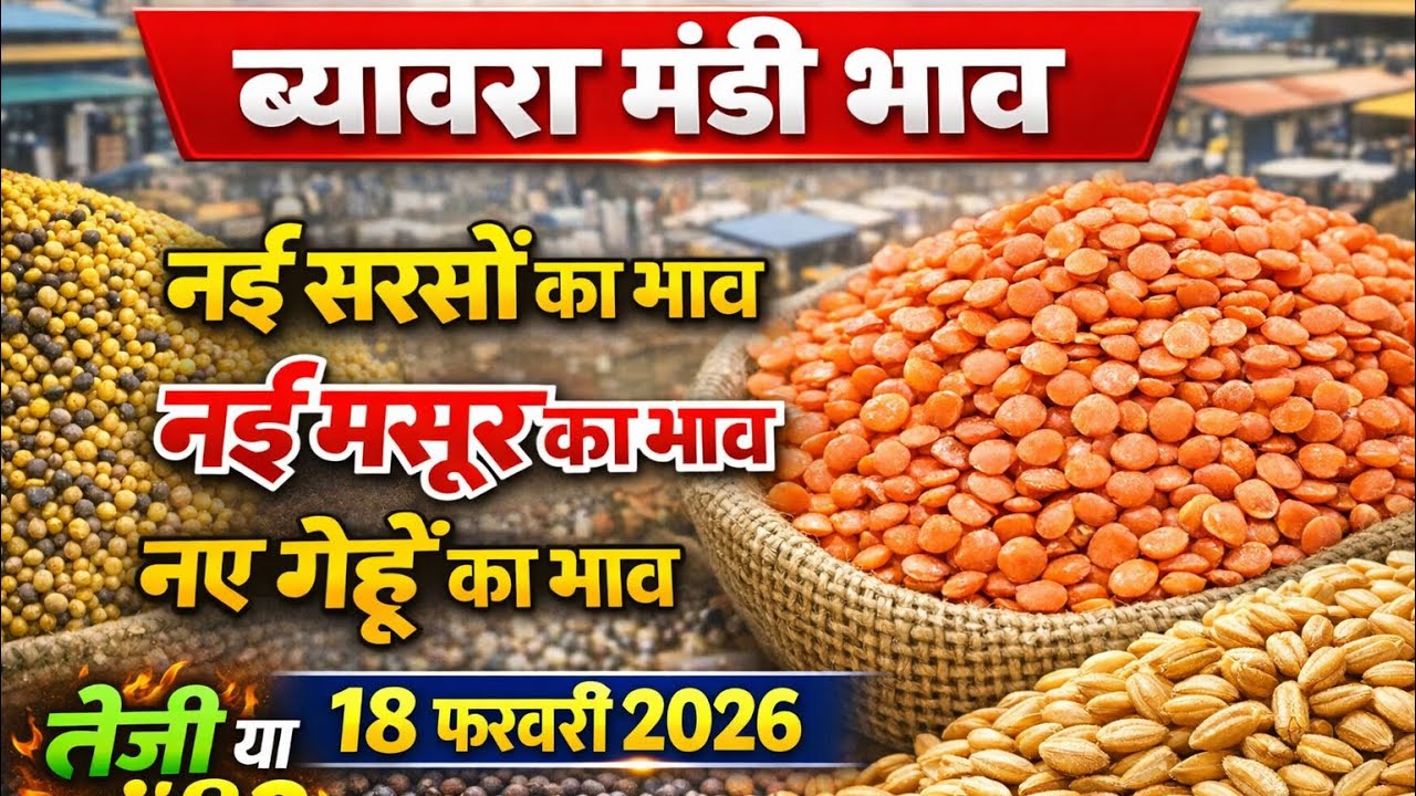 BIAORA MANDI BHVA SARSO  KA BHAV MASOOR KA BHAV कितनी रही तेज़ी 