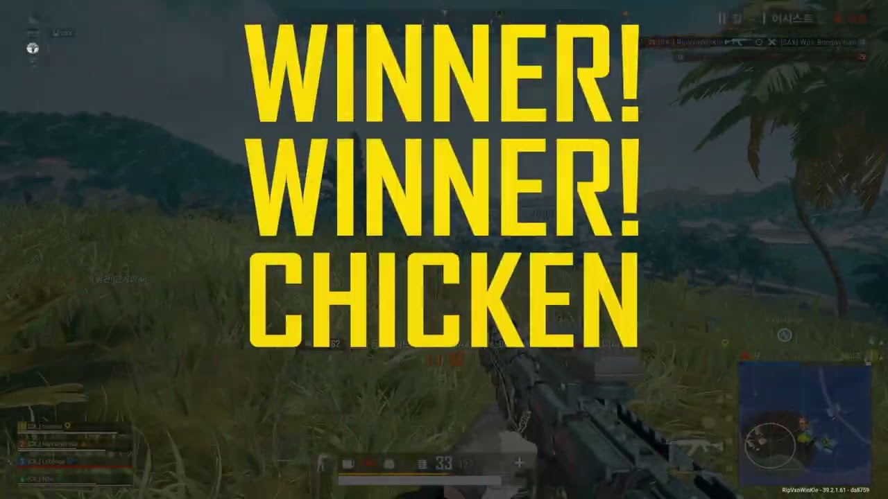 영상만들기 귀찮은 사람 교전모음 l RipVanWinKle l PUBG l 배그매드무비 l montage