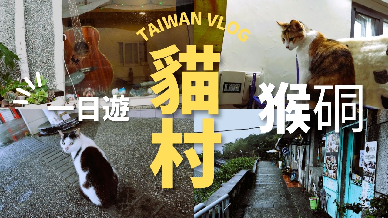 【台湾Vlog🇹🇼14】台湾の ”猫村” 猴硐を一人旅｜猫に恩返しの世界 / 台灣的 ”貓村” 猴硐一個人旅行｜簡直貓的報恩的世界