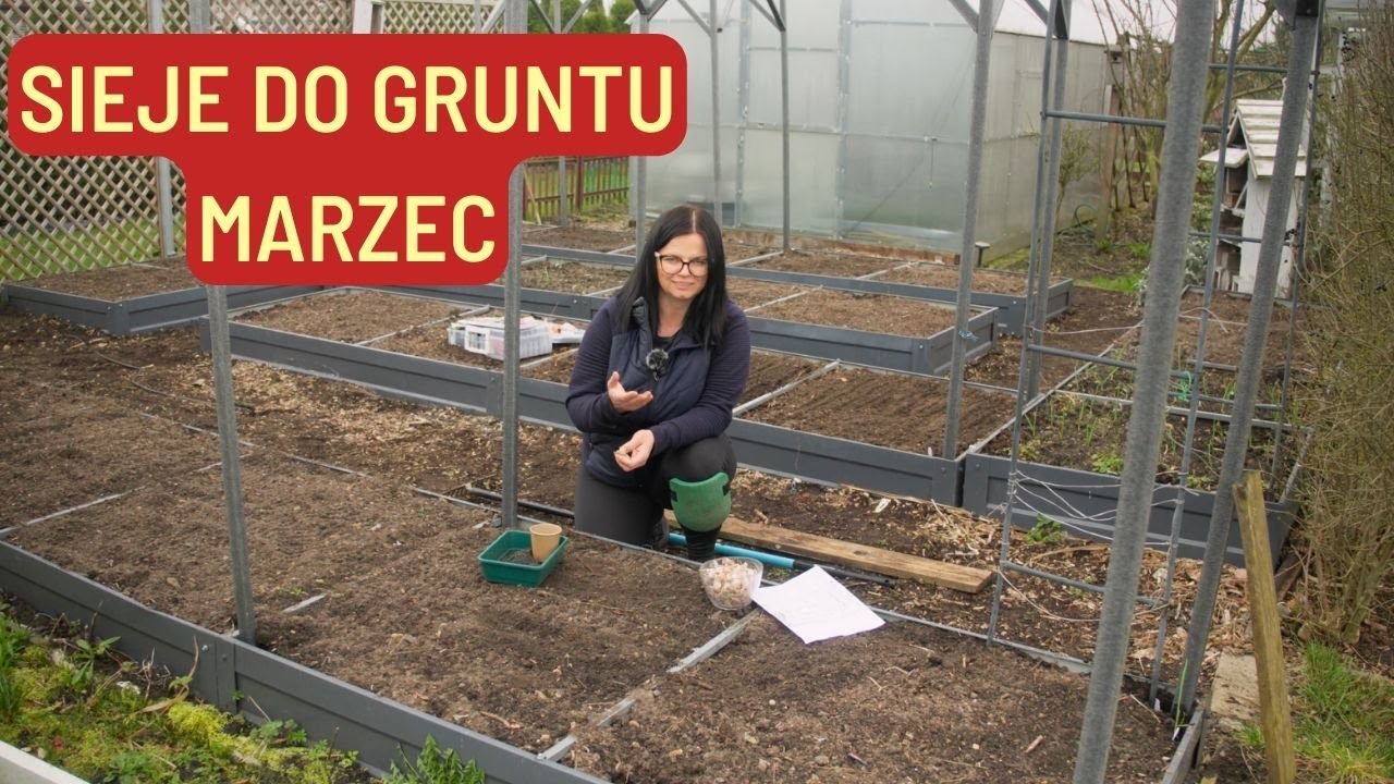 WYSIEWY DO GRUNTU CO SIAĆ W MARCU? OGRÓD WARZYWNY
