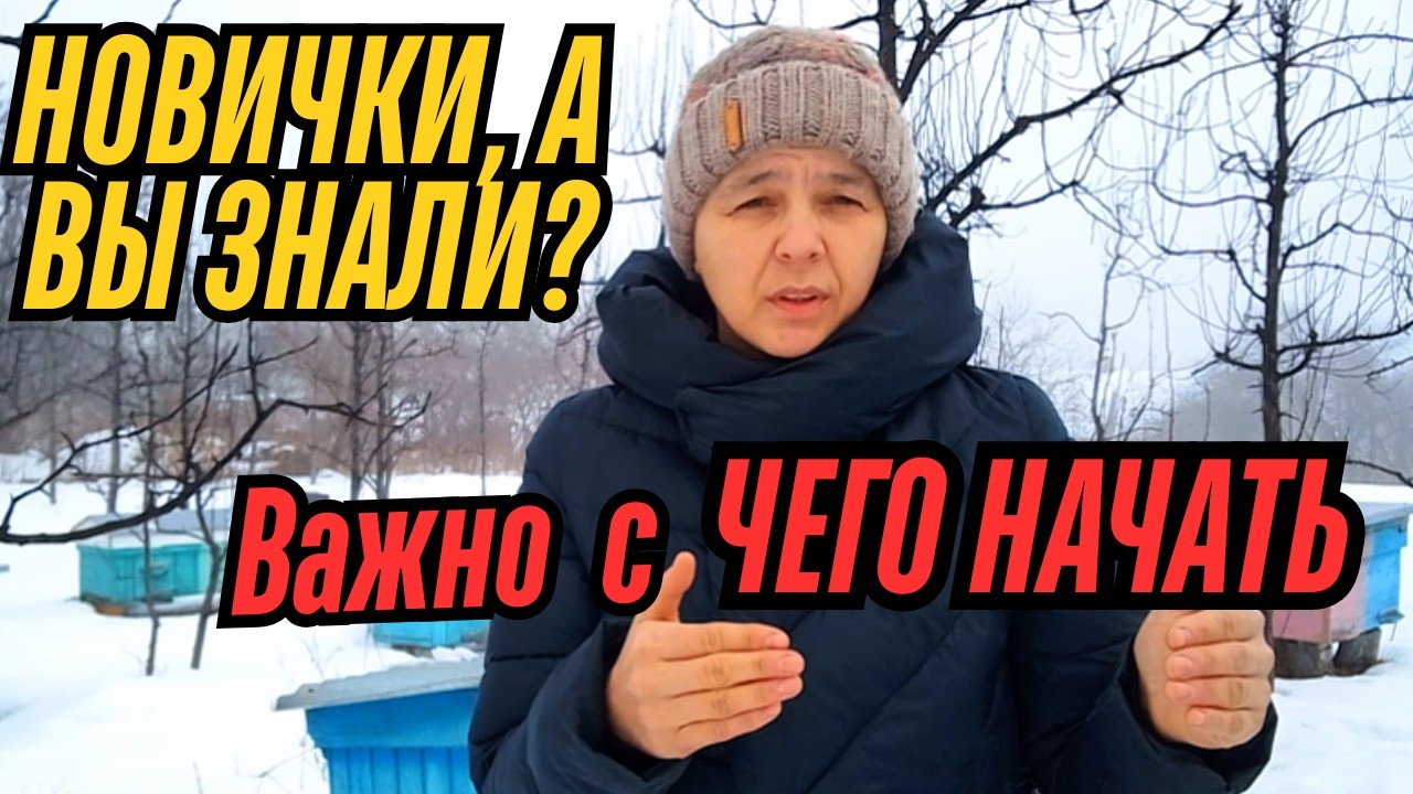 👉 ХОЧЕШЬ ПЧЁЛ? ПОСМОТРИ ЭТО ПЕРЕД ВЕСНОЙ! 🌤 Пчеловодство с нуля
