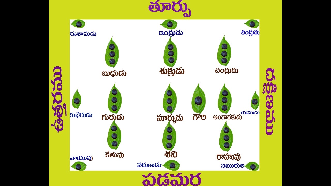 NAVAGRAHA POOJA