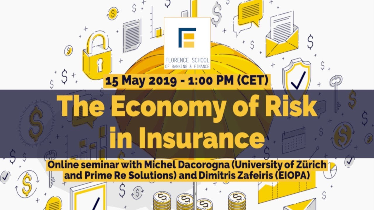 The Economy of Risk in Insurance