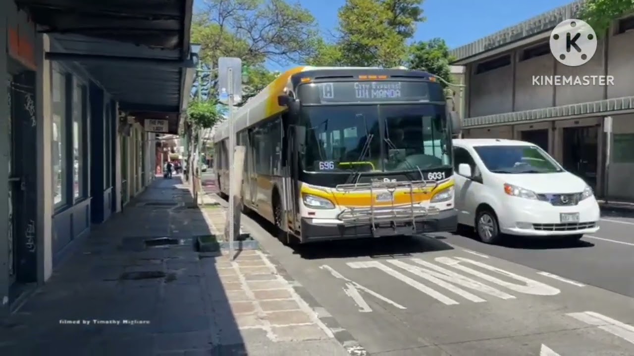 Oceania ônibus 