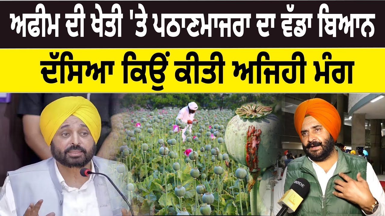 Afeem ਦੀ Farming 'ਤੇ Pathanmajra ਦਾ ਵੱਡਾ ਬਿਆਨ, ਦੱਸਿਆ ਕਿਉਂ ਕੀਤੀ ਅਜਿਹੀ ਮੰਗ | D5 Channel Punjabi
