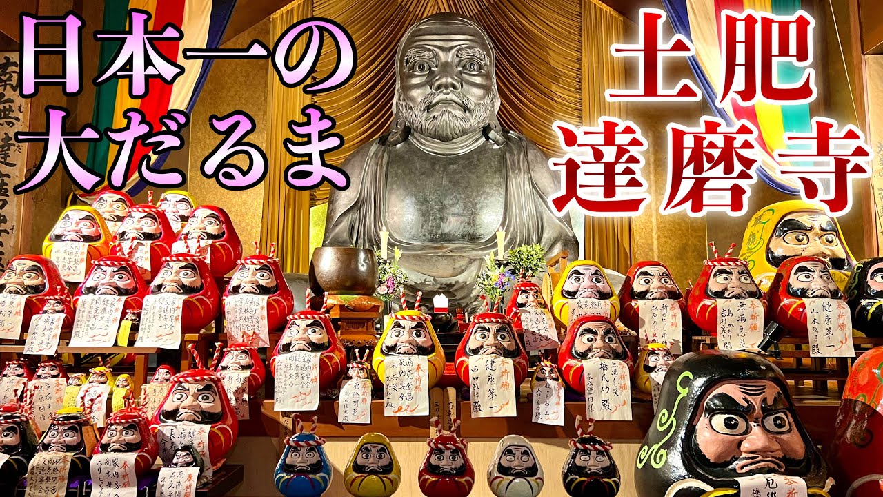 【土肥達磨寺】高さ5m重さ3t日本一の大だるま達磨大師座像!!