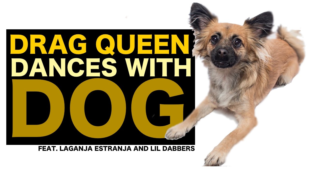 DRAG QUEEN DANCES WITH DOG